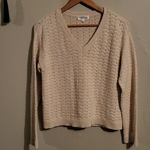 Northern Reflections Cream V-Neck Sweater
